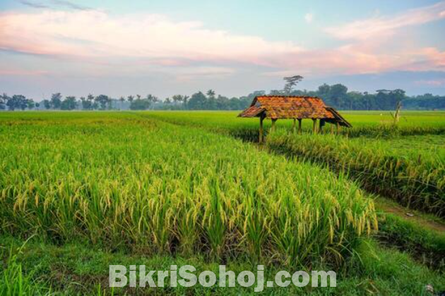 কৃষি জমি বিক্রয়